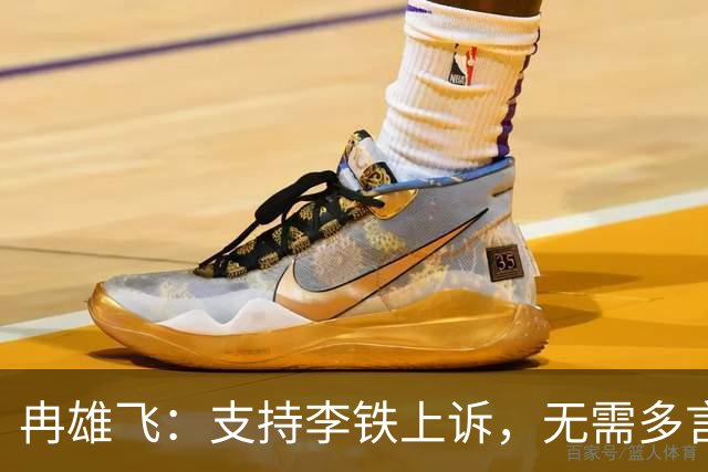 冉雄飞：支持李铁上诉，无需多言